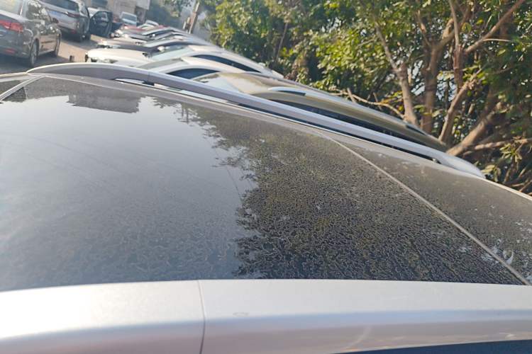 Used Kia Sportage R 2019 2.0L Automatic Smart Luxury Edition Roof