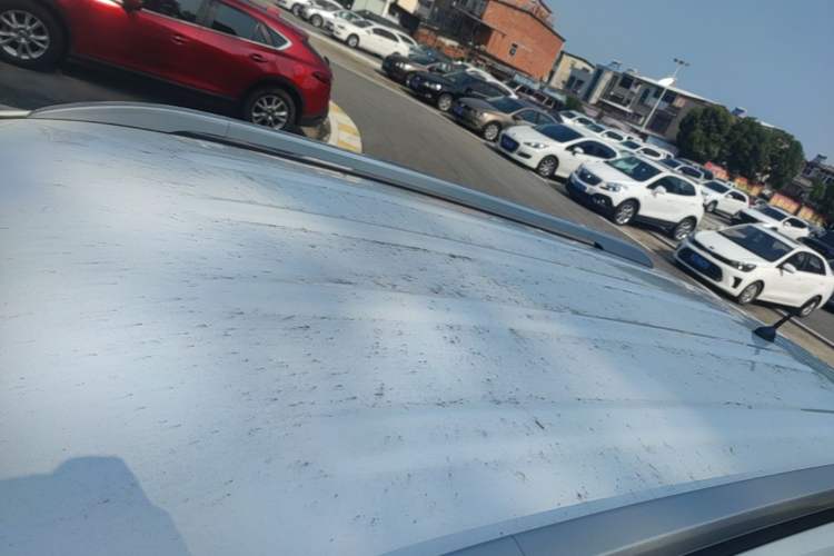 Used Kia Sportage R 2019 2.0L Manual Fashion Edition Roof