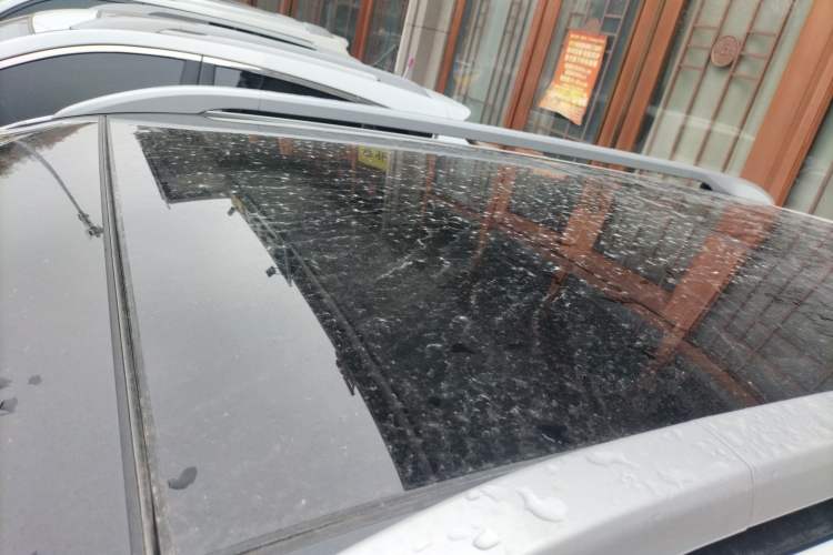 Used Kia Sportage R 2019 2.0L Automatic Smart Luxury Edition Roof