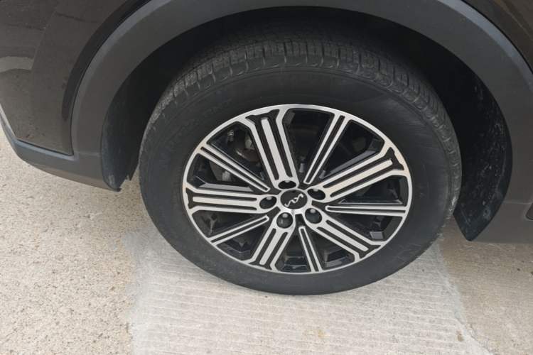 Used Kia Sportage R 2021 Ace 2.0L Splendid Edition Exterior 4