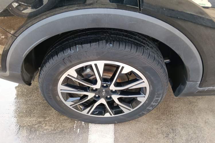 Used Kia Sportage R 2021 Ace 1.5T GT Line Supreme Edition Exterior 5