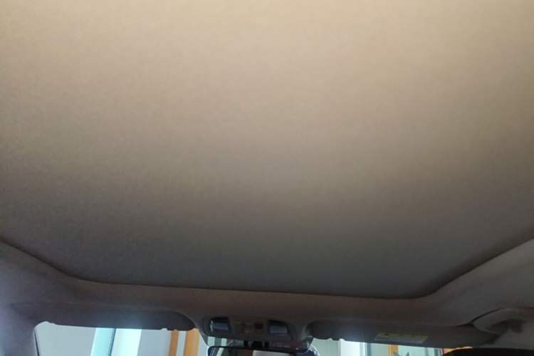 Used Kia Sportage R 2021 Ace 2.0L Splendid Edition Headliner