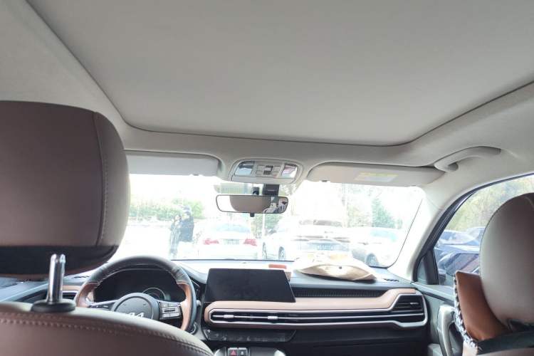 Used Kia Sportage R 2021 Ace 2.0L Splendid Edition Headliner
