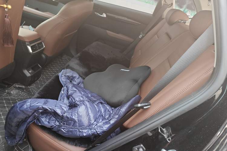 Used Kia Sportage R 2021 Ace 2.0L Splendid Edition Left Rear Seat