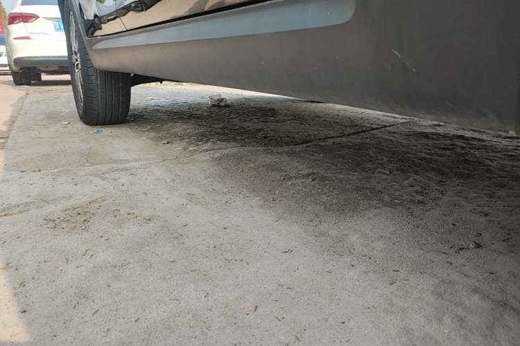 Used Kia Sportage R 2021 Ace 2.0L Splendid Edition Right Side Sill
