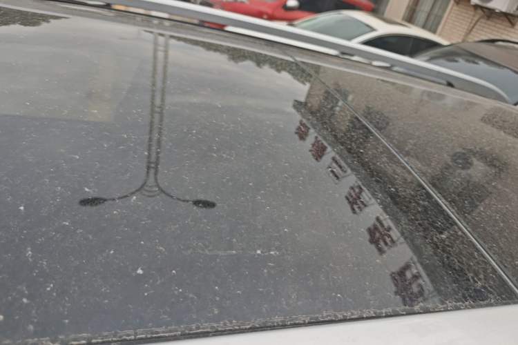 Used Kia Sportage R 2021 Ace 2.0L Splendid Edition Roof