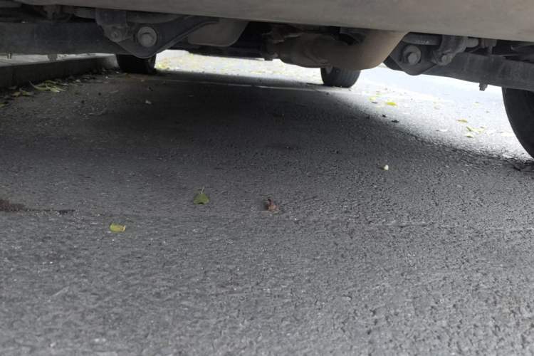 Used Kia Sportage R 2021 Ace 2.0L Challenge Edition Chassis Rear