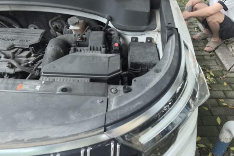 Used Kia Sportage R 2021 Ace 2.0L Challenge Edition Engine Bay Left