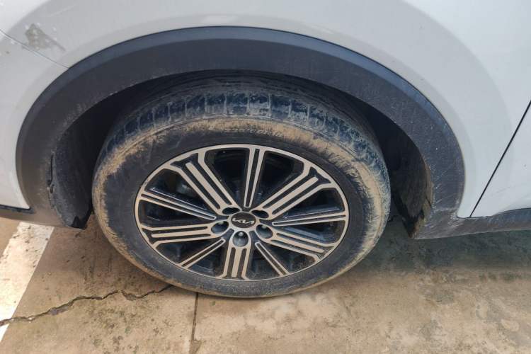 Used Kia Sportage R 2021 Ace 2.0L Challenge Edition Exterior 4