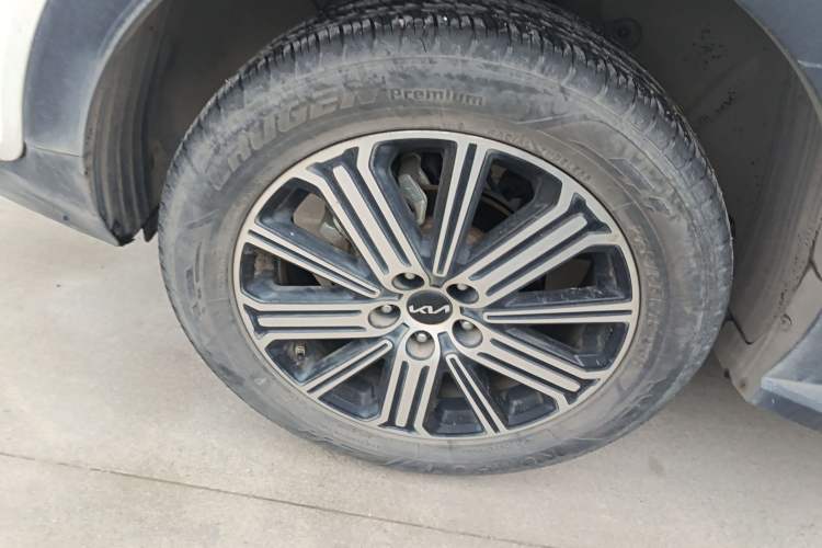 Used Kia Sportage R 2021 Ace 2.0L Splendid Edition Exterior 5