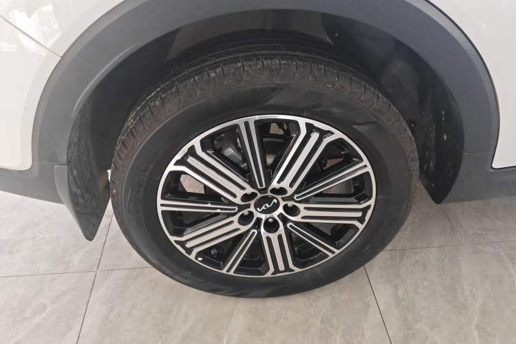 Used Kia Sportage R 2021 Ace 2.0L Splendid Edition Exterior 8