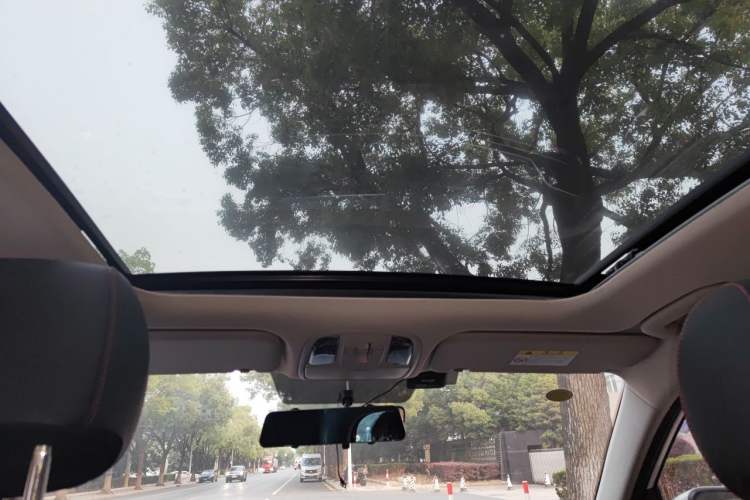 Used Kia Sportage R 2021 Ace 2.0L Challenge Edition Headliner