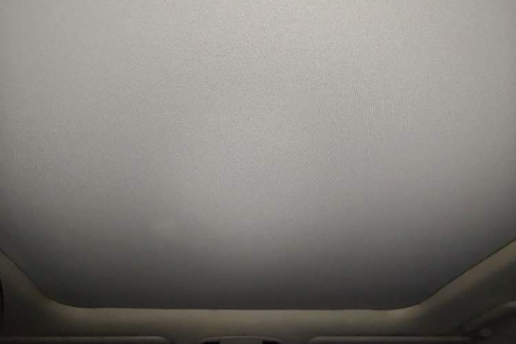 Used Kia Sportage R 2021 Ace 2.0L Splendid Edition Headliner