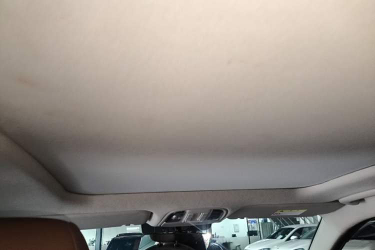 Used Kia Sportage R 2021 Ace 2.0L Splendid Edition Headliner
