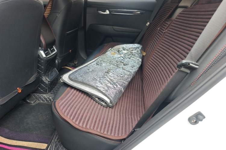 Used Kia Sportage R 2021 Ace 2.0L Challenge Edition Left Rear Seat