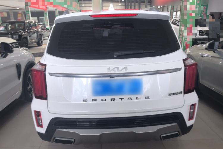 Used Kia Sportage R 2021 Ace 2.0L Splendid Edition Rear