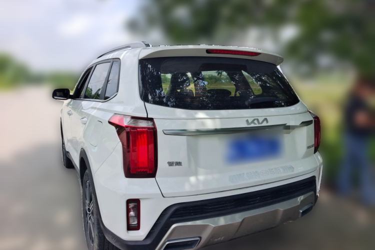 Used Kia Sportage R 2021 Ace 2.0L Splendid Edition Rear Left 45 Deg