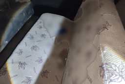 Thumbnail 18