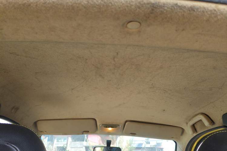 Used Know Beans D1 2016 Standard Model Headliner
