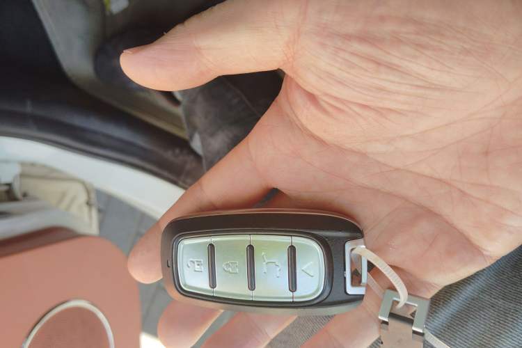 Used Know Beans D2 2015 D2 Vehicle Key