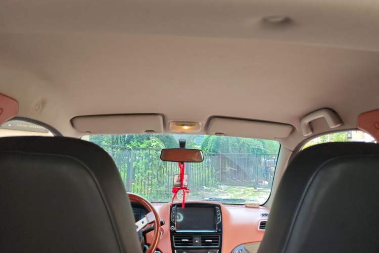 Used Know Beans D2 2016 D2 Model Headliner