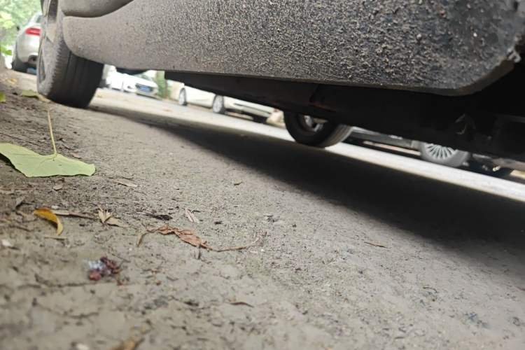 Used Know Beans D2 2017 D2 Enjoyment Edition Chassis Front Right