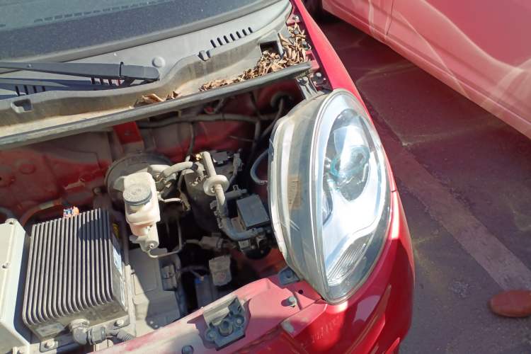 Used Know Beans D2 2017 D2 Smart Edition Engine Bay Left