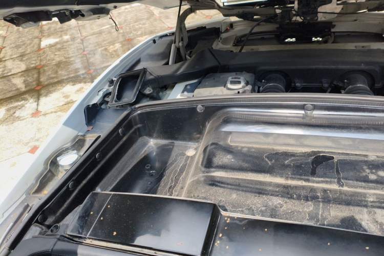 Used Lamborghini Gallardo 2009 LP 560-4 Spyder Engine Bay Right