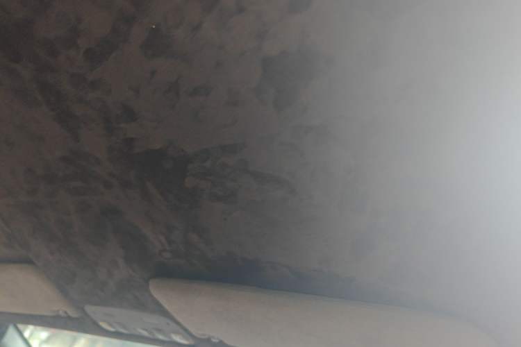 Used Lamborghini Gallardo 2011 LP 560-4 Bicolor Headliner