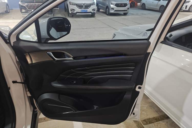 Used Land Rongyao 2020 1.5 GTDI Automatic Smart·Yao Right Front Door Interior