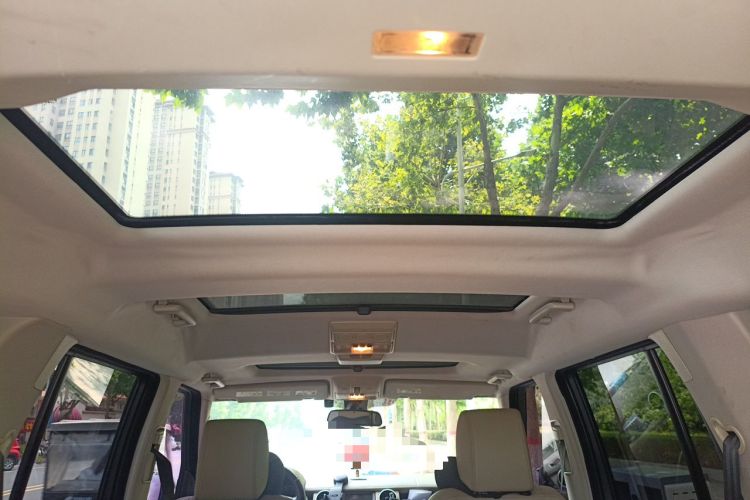 Used Land Rover Discovery 2010 5.0 V8 HSE Gasoline Model Headliner