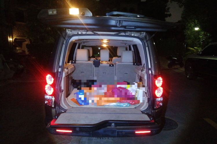 Used Land Rover Discovery 2011 4.0 V6 HSE Trunk