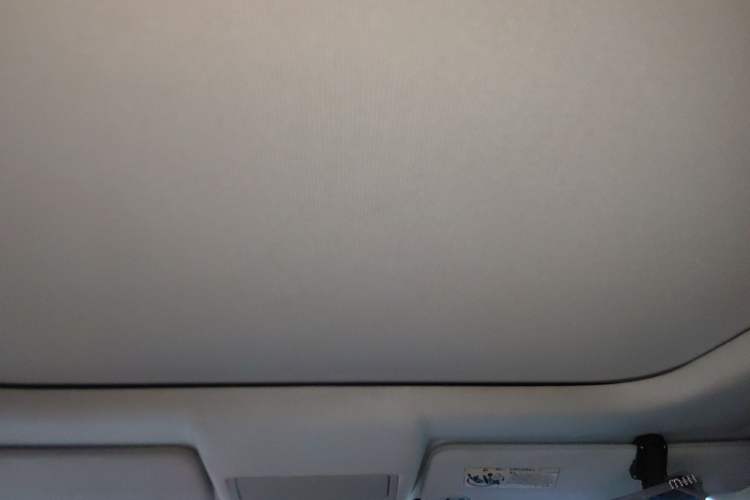 Used Land Rover Discovery  Headliner