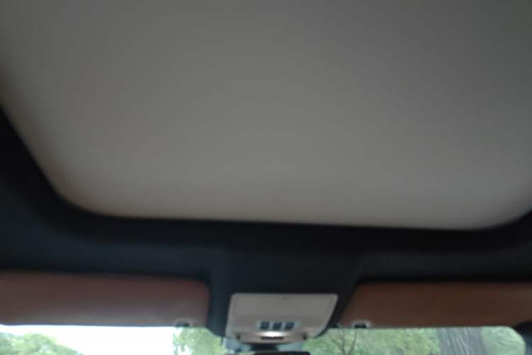 Used Land Rover Discovery  Headliner