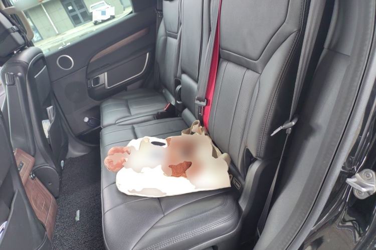 Used Land Rover Discovery 2018 3.0 SC V6 HSE Left Rear Seat