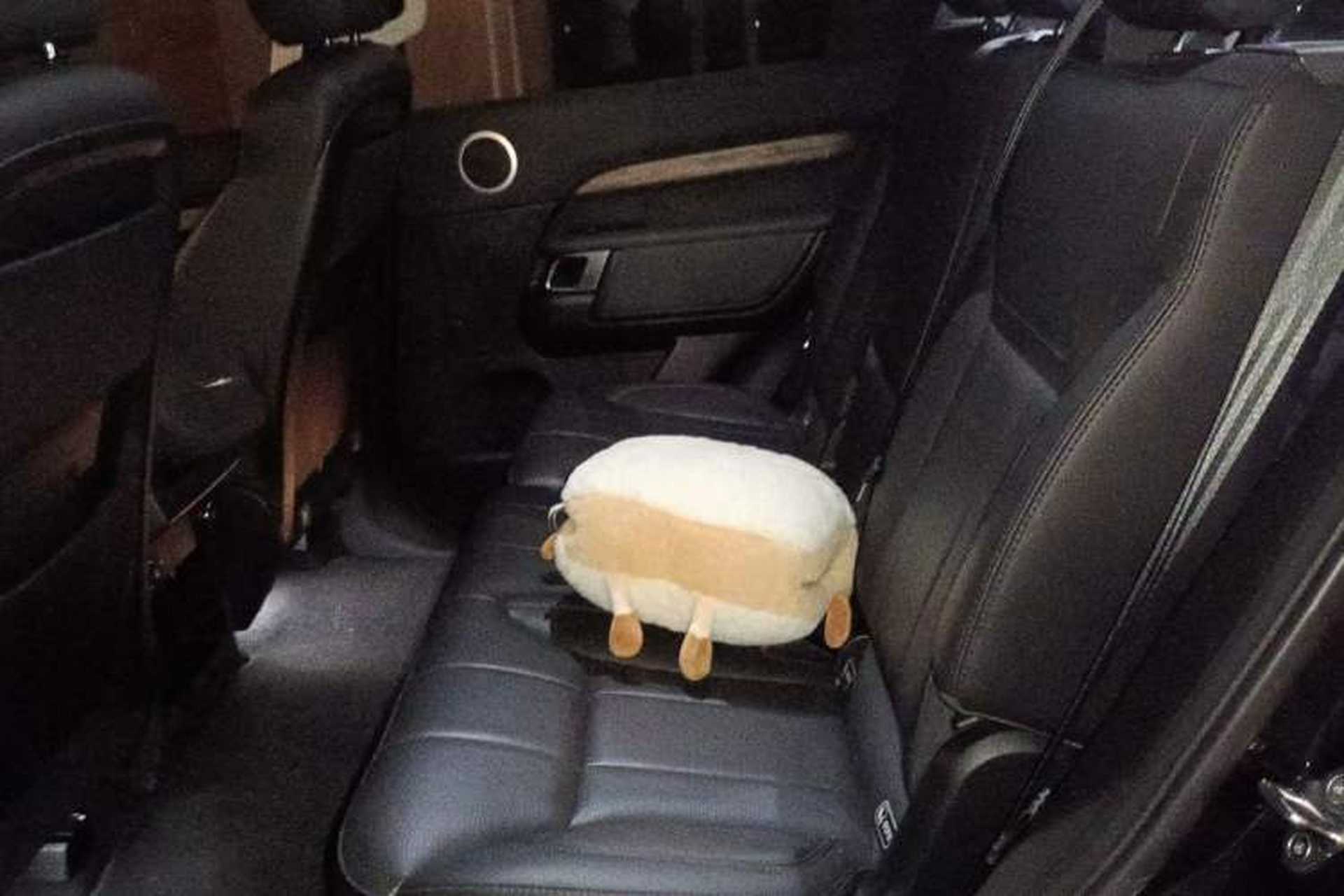 Used Land Rover Discovery 2019 2.0T HSE Left Rear Seat