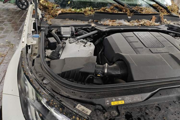Used Land Rover Discovery 2019 3.0 SC V6 SE Engine Bay Right