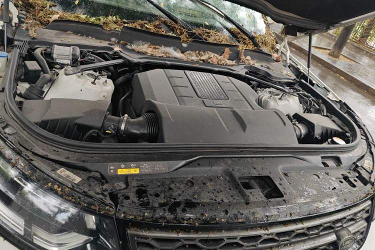 Used Land Rover Discovery 2019 3.0 SC V6 SE Engine Bay