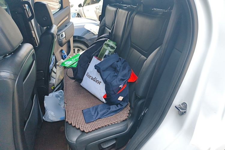 Used Land Rover Discovery 2019 3.0 SC V6 SE Left Rear Seat