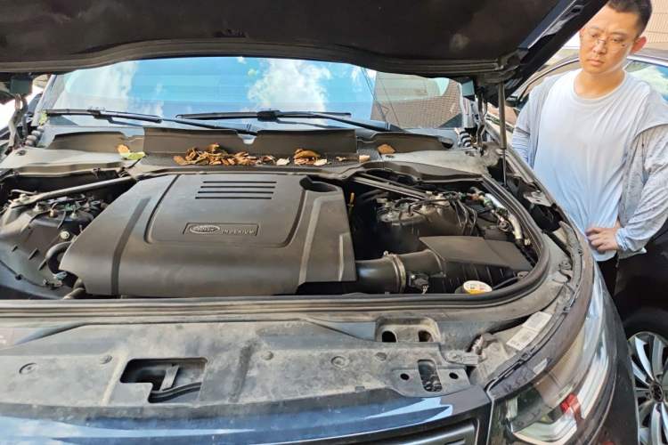 Used Land Rover Discovery 2020 2.0T SE Engine Bay Left