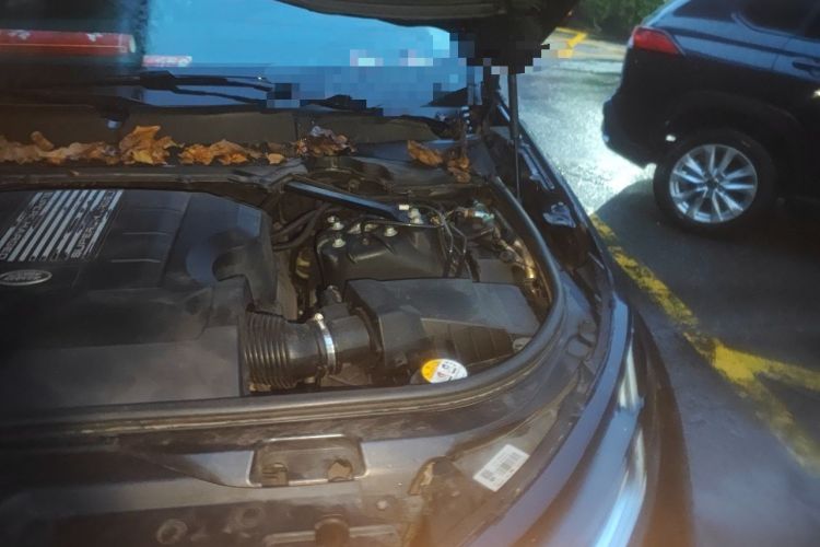 Used Land Rover Discovery 2020 3.0 SC V6 30th Anniversary Special Edition Engine Bay Left