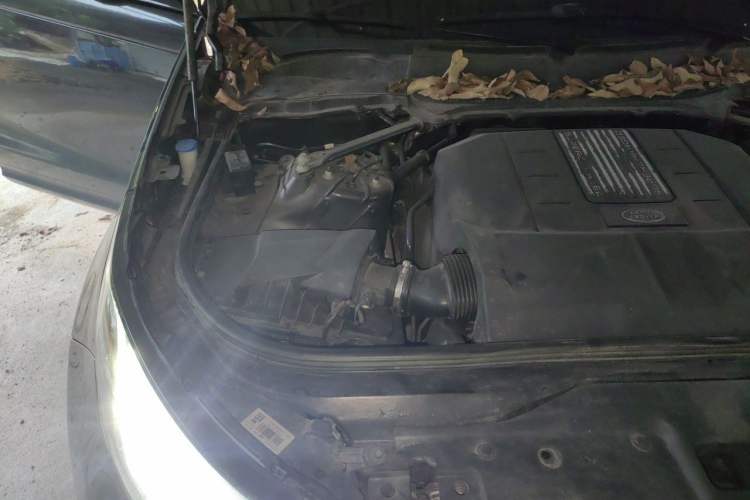 Used Land Rover Discovery 2020 3.0 SC V6 30th Anniversary Special Edition Engine Bay Right