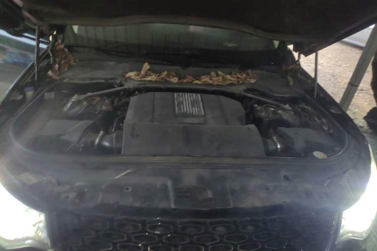 Used Land Rover Discovery 2020 3.0 SC V6 30th Anniversary Special Edition Engine Bay