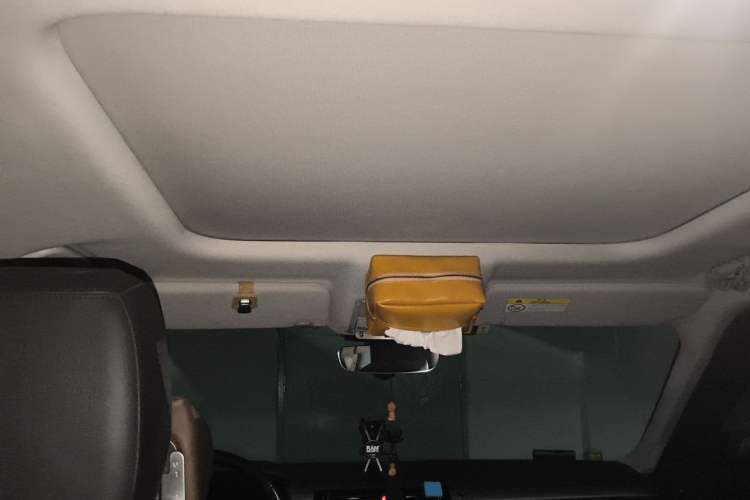 Used Land Rover Discovery 2020 3.0 SC V6 30th Anniversary Special Edition Headliner