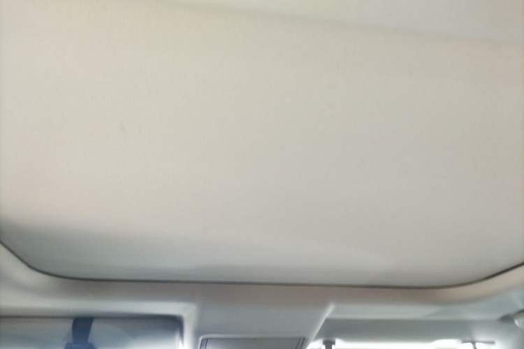 Used Land Rover Discovery 2020 3.0 SC V6 30th Anniversary Special Edition Headliner