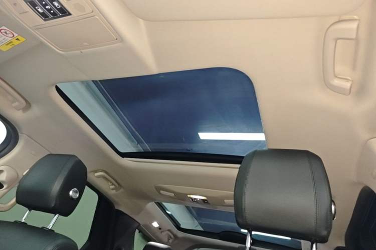 Used Land Rover Discovery 2020 3.0 SC V6 30th Anniversary Special Edition Headliner