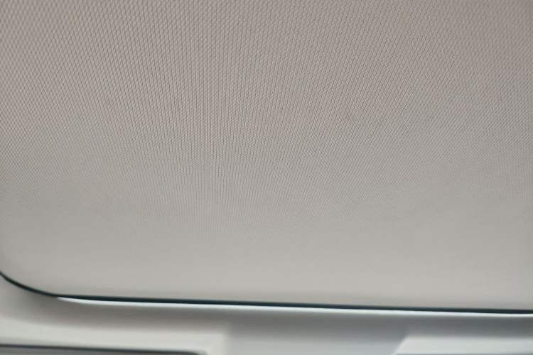 Used Land Rover Discovery 2020 3.0 SC V6 30th Anniversary Special Edition Headliner