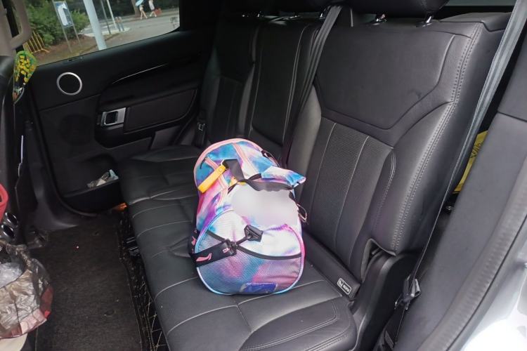 Used Land Rover Discovery 2020 3.0 SC V6 SE Left Rear Seat