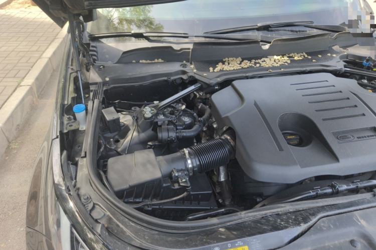 Used Land Rover Discovery 2023 Revised Version 360 PS R-Dynamic S Engine Bay Right