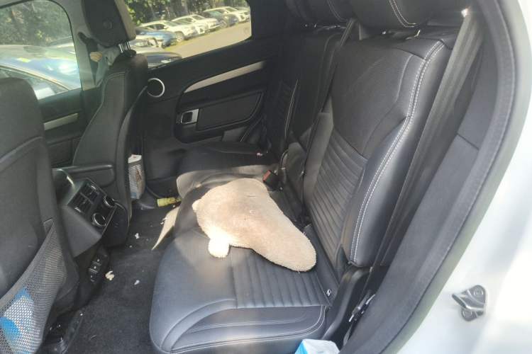 Used Land Rover Discovery 2023 Revised Version 360 PS R-Dynamic S Left Rear Seat